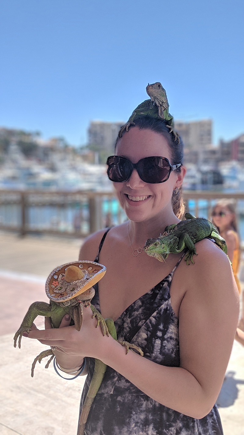 Careers Home &amp; Auto The Insurance Center Augusta